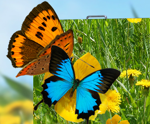 ROYAL皇家88小间距LED显示屏的魅力所在