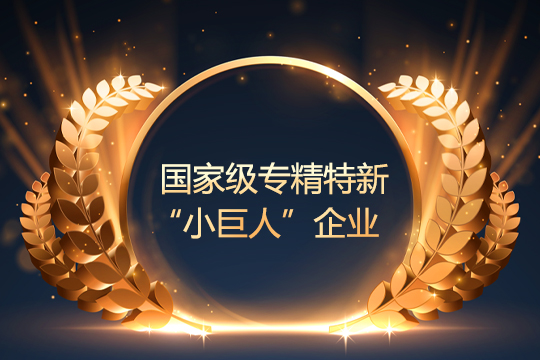喜报 | ROYAL皇家88通过国家级专精特新“小巨人”企业复审 